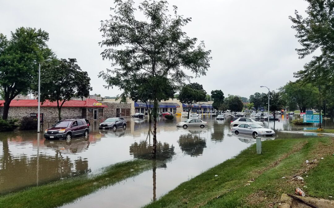 Is There Anything That Happens Throughout The Water Damage Restoration Process?